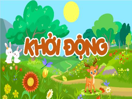 Bài giảng Khoa học 5 (Kết nối tri thức) - Bài 17: Ôn tập chủ đề động vật và thực vật