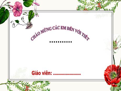 Bài giảng Tiếng Việt 1 (Kết nối tri thức) - Bài 4: Quạt cho bà ngủ