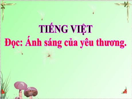 Bài giảng Tiếng Việt 2 (Đọc) sách Kết nối tri thức - Bài 31: Ánh sáng của yêu thương