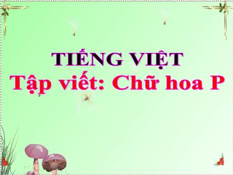 Bài giảng Tiếng Việt 2 (Tập viết) - Chữ hoa P