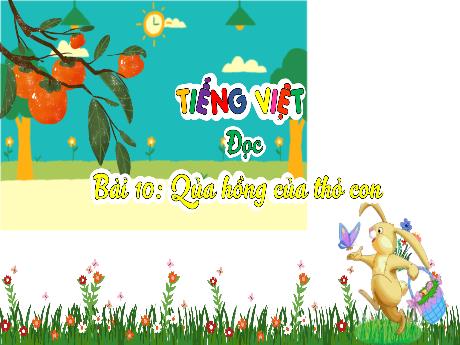 Bài giảng Tiếng Việt 3 (Đọc) - Bài 10: Quả hồng của thỏ con