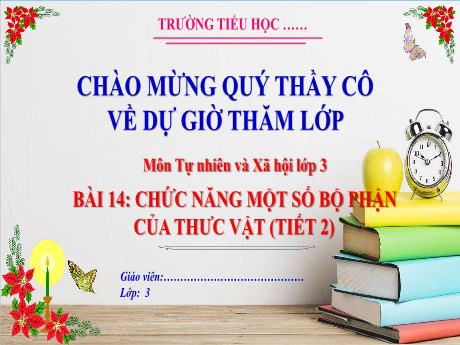Bài giảng Tự nhiên và Xã hội 3 (Kết nối tri thức) - Bài 14: Chức năng một số bộ phận của thực vật (Tiết 2)