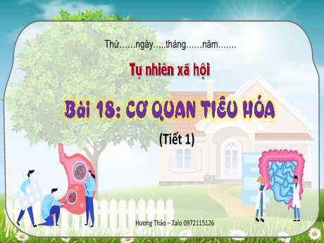 Bài giảng Tự nhiên và Xã hội 3 (Kết nối tri thức) - Bài 18: Cơ quan tiêu hóa (Tiết 1)