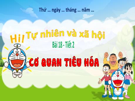 Bài giảng Tự nhiên và Xã hội 3 (Kết nối tri thức) - Bài 18: Cơ quan tiêu hóa (Tiết 2)